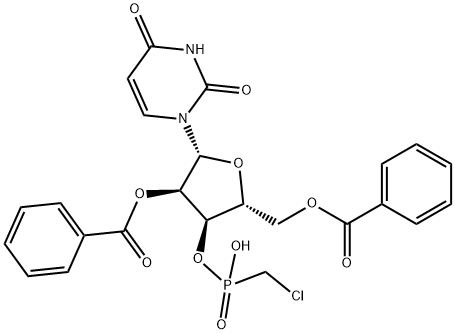 CasImg
