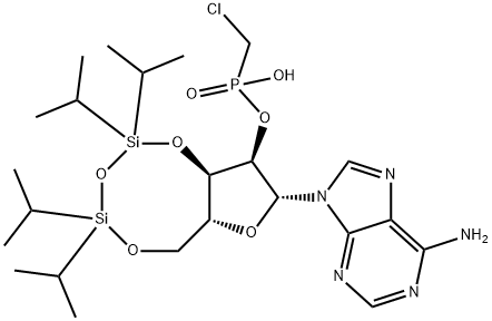 CasImg