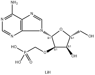 CasImg