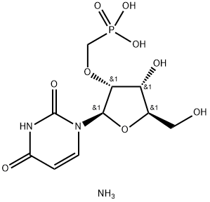 CasImg