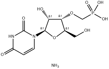 CasImg