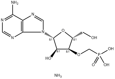 CasImg
