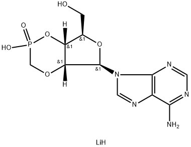 CasImg