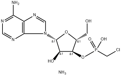 CasImg