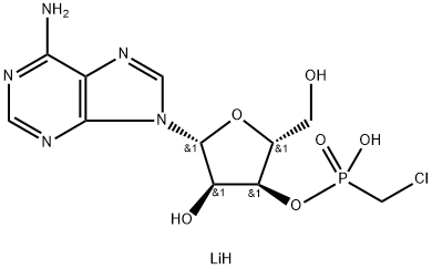 CasImg
