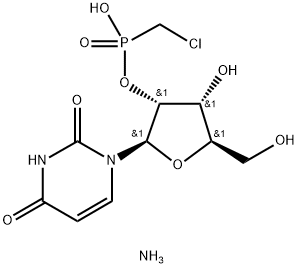 CasImg