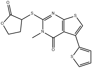 CasImg