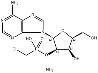 CasImg