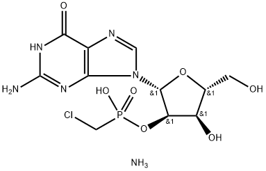 CasImg