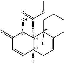 CasImg