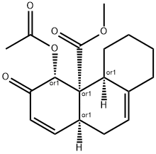 CasImg