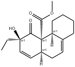 CasImg