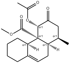 CasImg