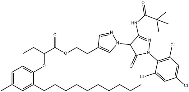 CasImg