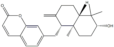 CasImg
