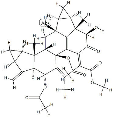 CasImg