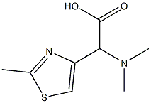 CasImg