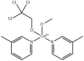 CasImg