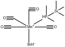 CasImg