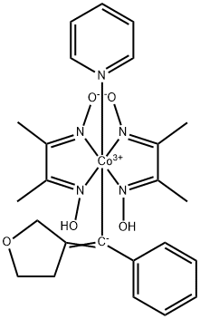 CasImg