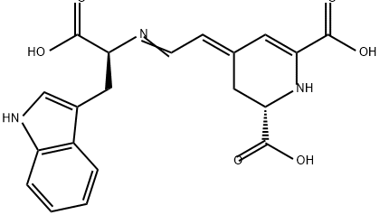 CasImg