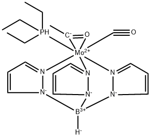 CasImg