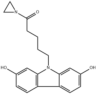 CasImg
