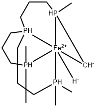 CasImg