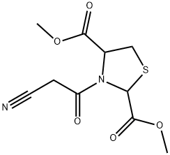 CasImg