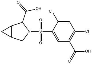 CasImg