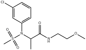 CasImg
