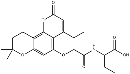 CasImg