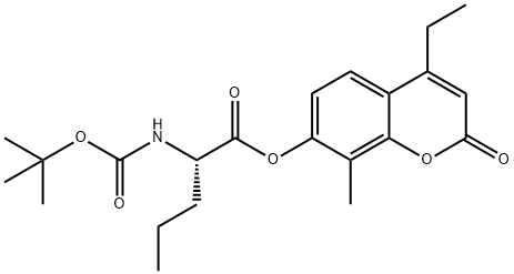 CasImg