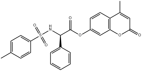 CasImg