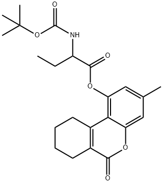 CasImg