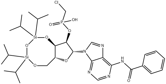 CasImg