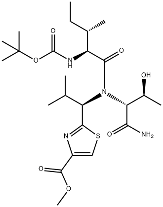 CasImg