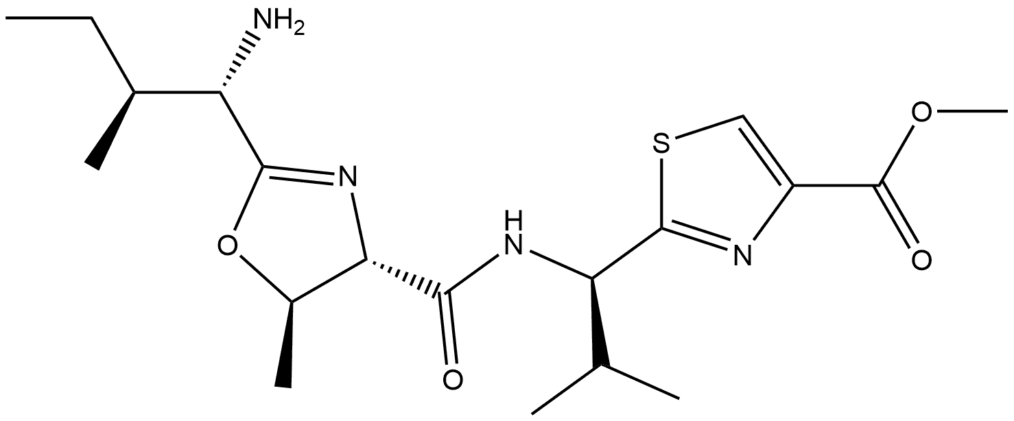 CasImg