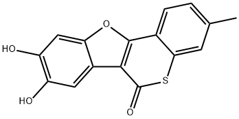 CasImg