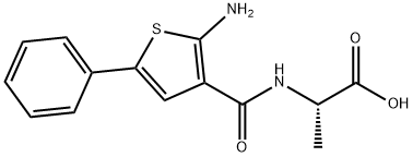 CasImg