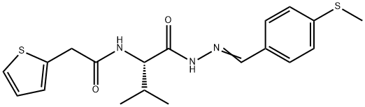 CasImg