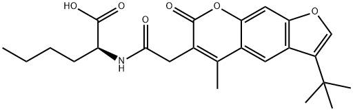 CasImg