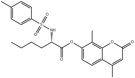 CasImg