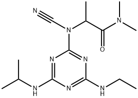 CasImg