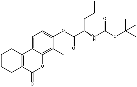 CasImg