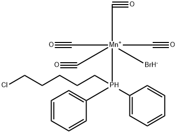 CasImg