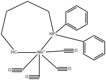 CasImg