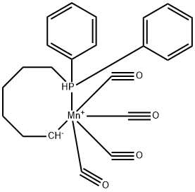 CasImg