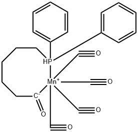 CasImg