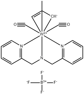 CasImg